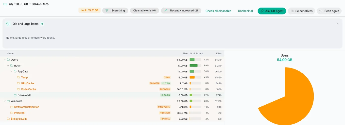 Disk cleaner showing folder sizes and cleanable caches